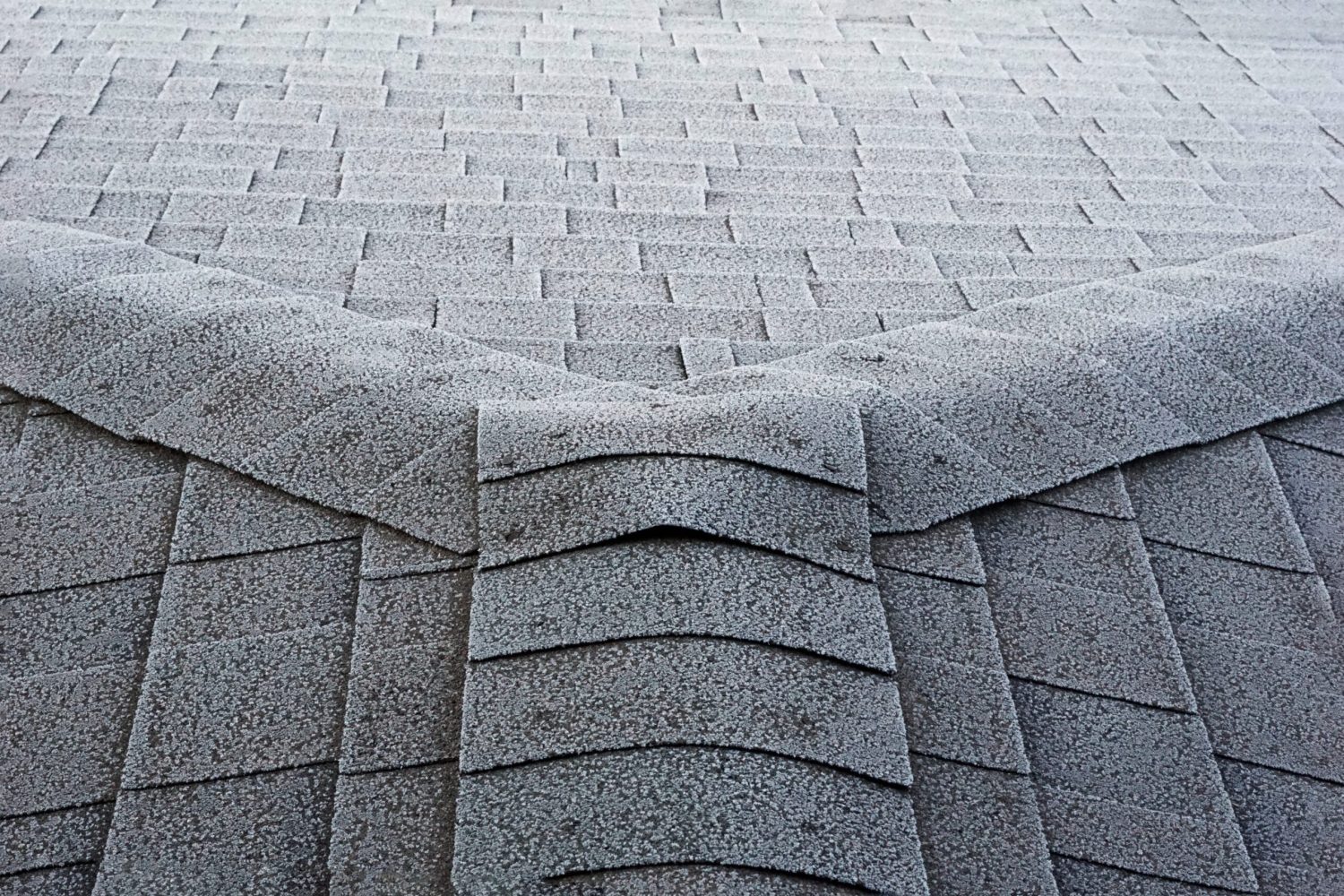 frost-on-roof-shingles-2023-11-27-05-33-53-utc-5-scaled.jpg